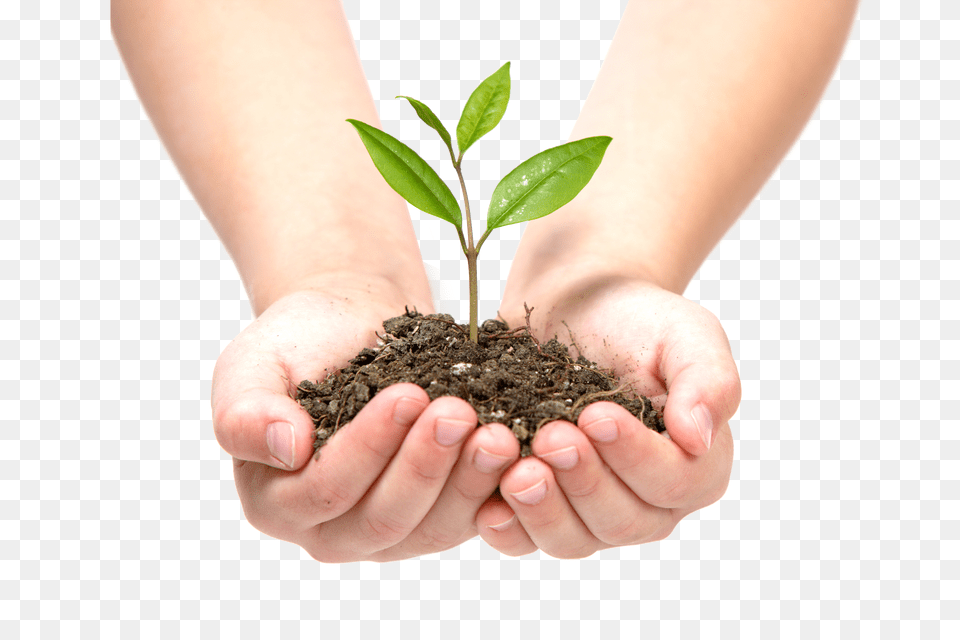 Soil Free Png Download