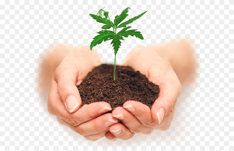Soil, Body Part, Finger, Hand, Leaf Png