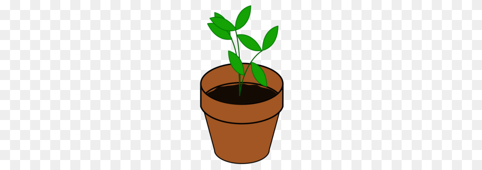 Soil, Leaf, Plant, Potted Plant, Cookware Free Transparent Png