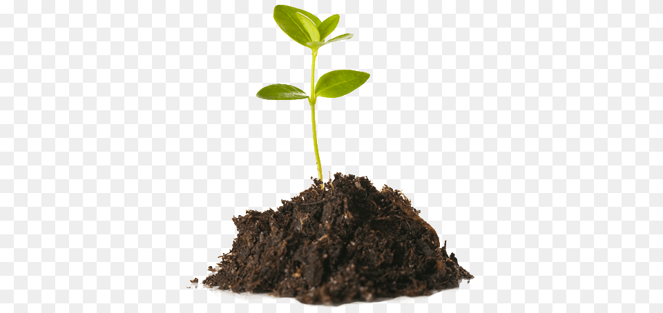 Soil, Leaf, Plant, Sprout Png Image