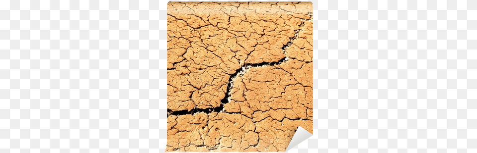 Soil, Ground, Texture, Mud Free Png Download