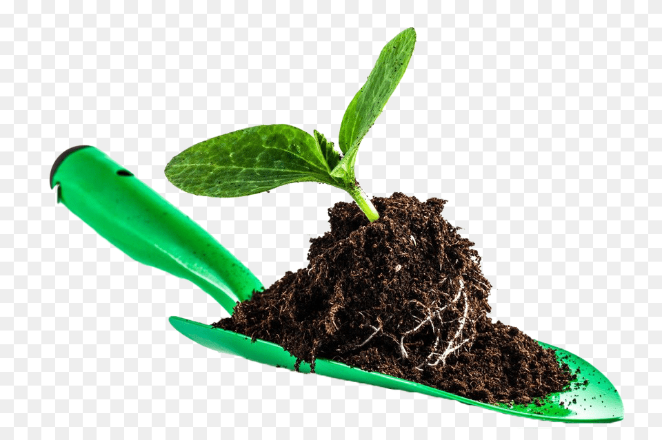 Soil, Plant, Leaf, Herbs Free Png Download