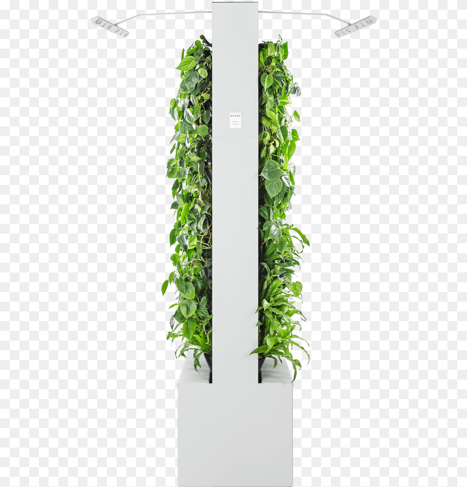 Soil Based Panel System Green Wall, Jar, Plant, Planter, Potted Plant Free Transparent Png