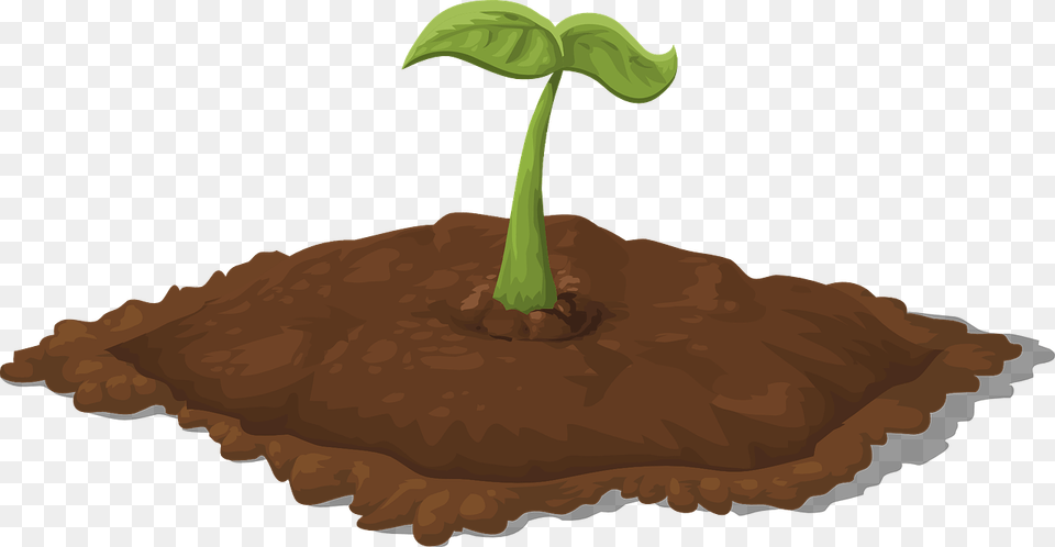 Soil Clipart, Plant, Sprout, Tree Free Png