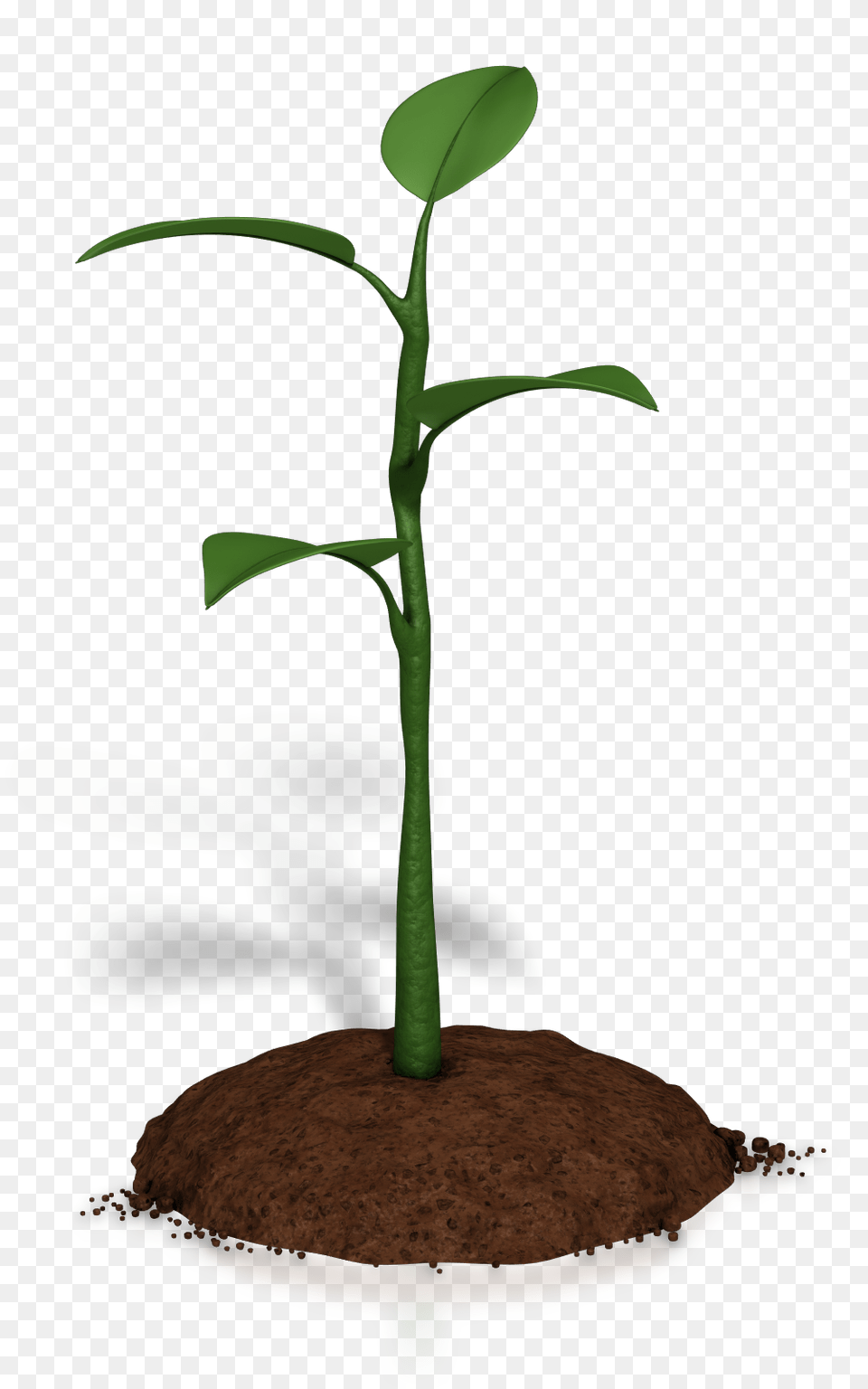 Soil Clipart Plant Growth, Leaf, Sprout Free Png