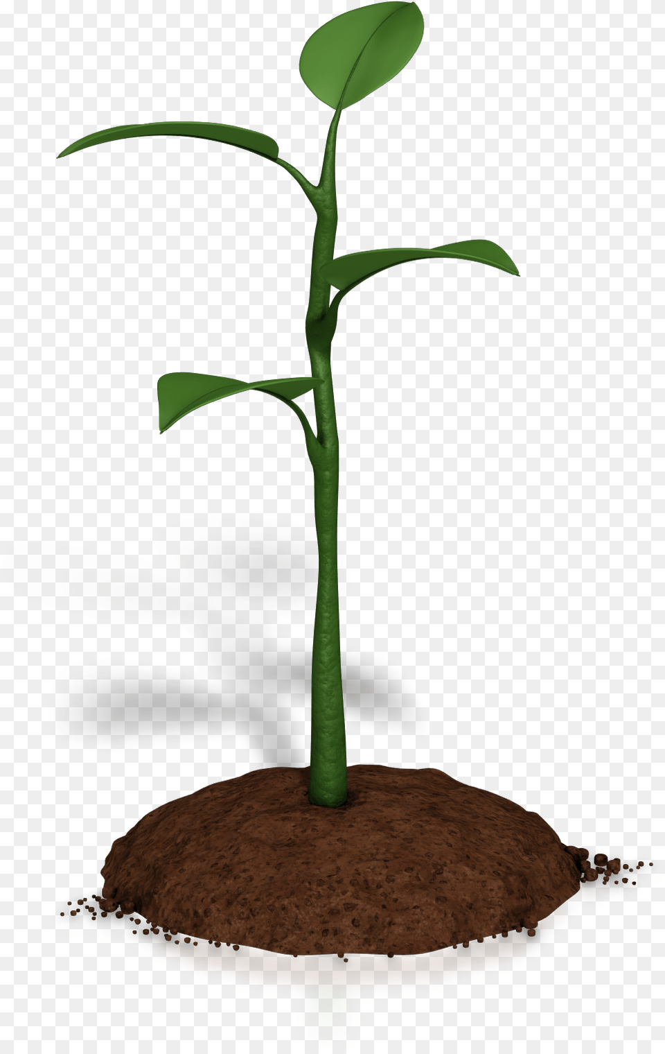 Soil Clipart Plant Growth Plant Animations For Powerpoint Plant Growth Animation, Leaf, Sprout, Tree Free Png Download