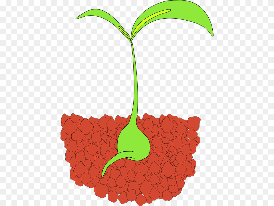 Soil Clipart Tanaman, Leaf, Plant, Food, Fruit Free Transparent Png