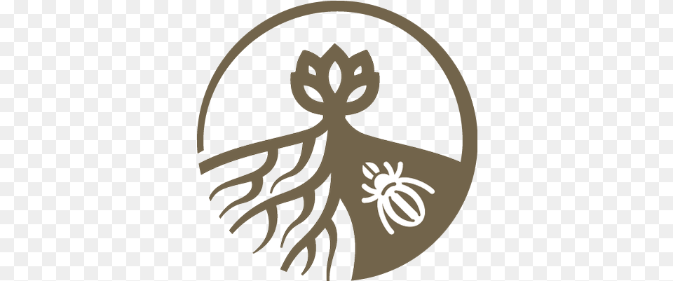 Soil Ecology Society Spider, Plant, Root, Bow, Weapon Png Image