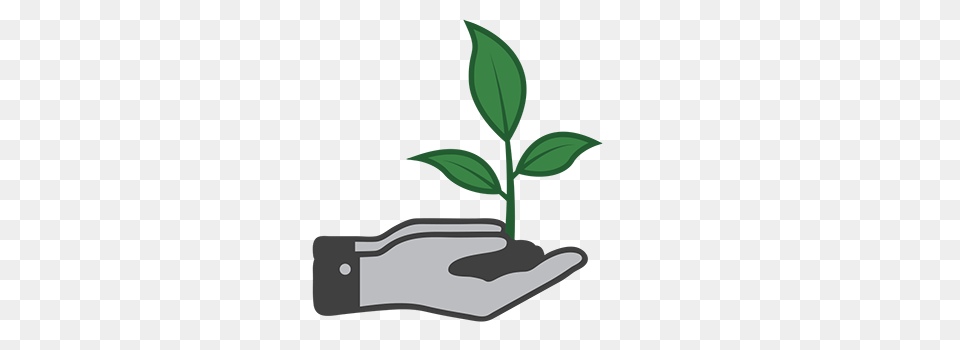 Soil Health Icon, Leaf, Herbal, Herbs, Plant Png Image