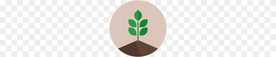 Soil Icon, Herbal, Herbs, Leaf, Plant Png