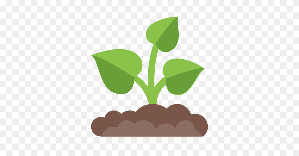 Soil Icons, Leaf, Plant, Herbal, Herbs Free Transparent Png