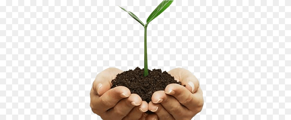 Soil In Hands Yulia Tymoshenko, Person, Plant, Planting, Leaf Free Png