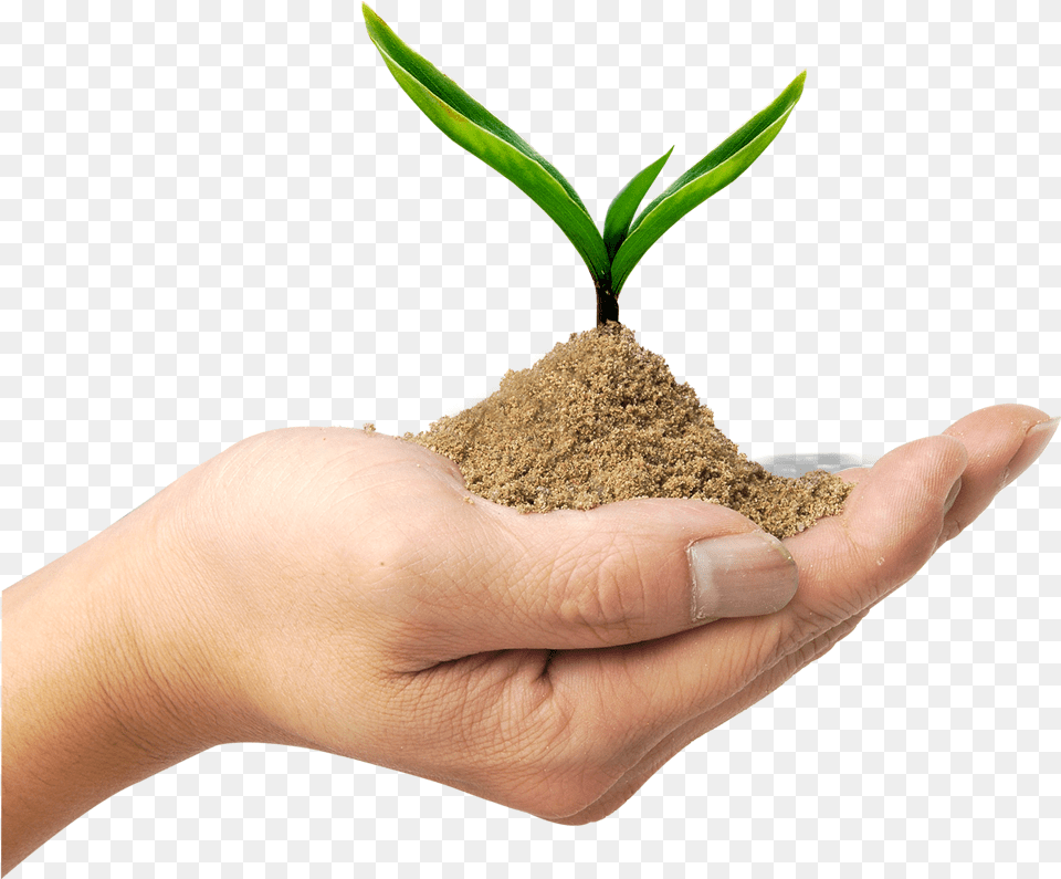 Soil In Kerala, Person, Body Part, Finger, Hand Free Png