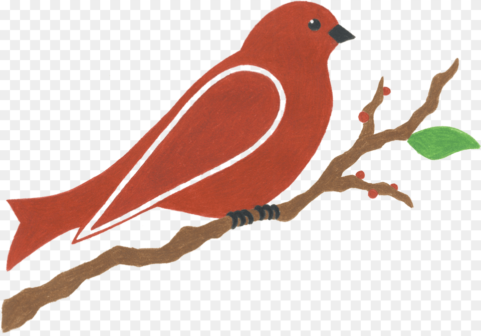 Soil Is Life U2014 Red Bird Landscapes U0026 Edible Gardens Scarlet Tanager, Animal, Canary Free Png