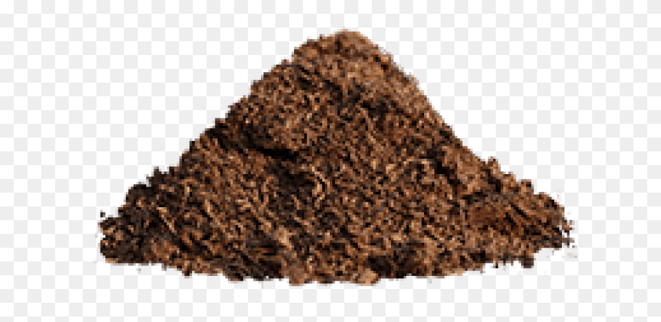 Soil Sphagnum Peat Moss, Powder, Animal, Insect, Invertebrate Free Png