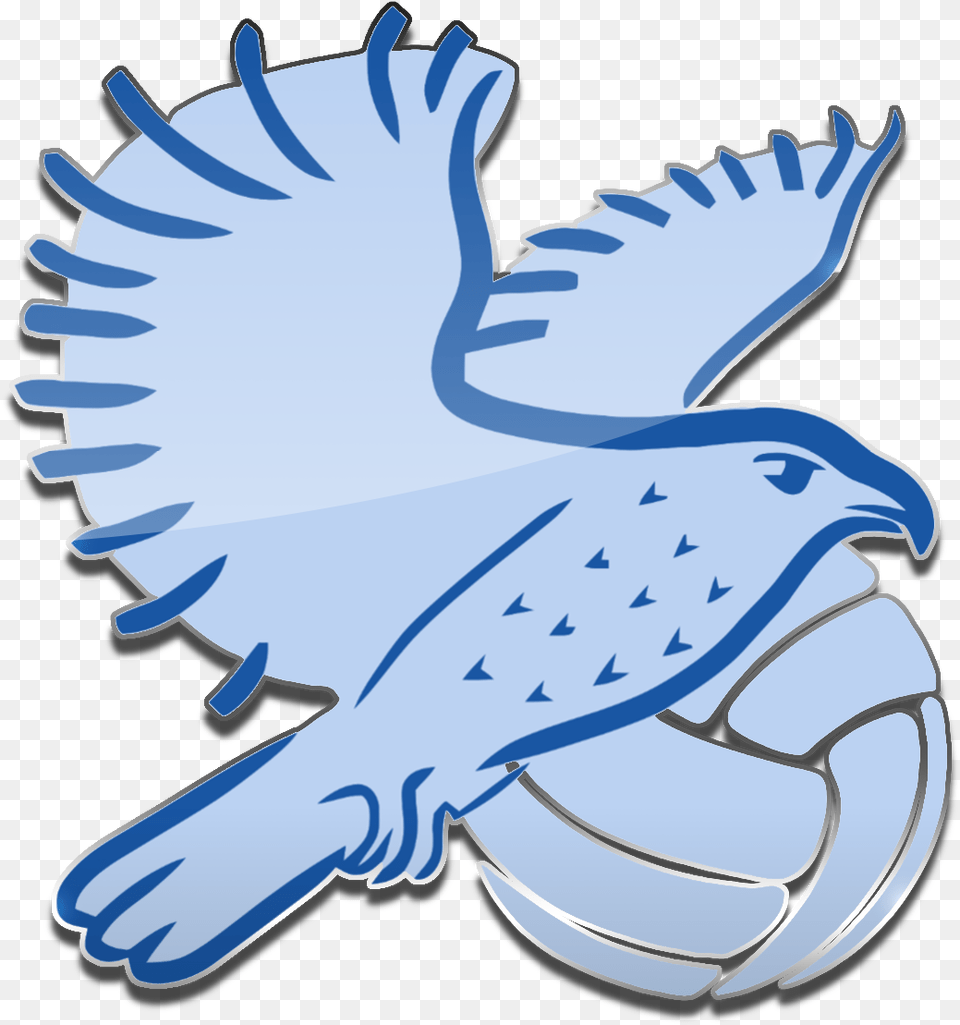 Sokol Volleyball Sokol Volleyball Logo, Animal, Bird, Hawk, Fish Free Transparent Png
