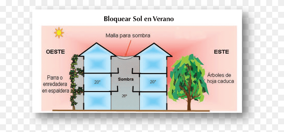 Sol En Efeciencia Energetica Edificio Viento En La Arquitectura, Neighborhood, Plant, Vegetation, Chart Free Png Download