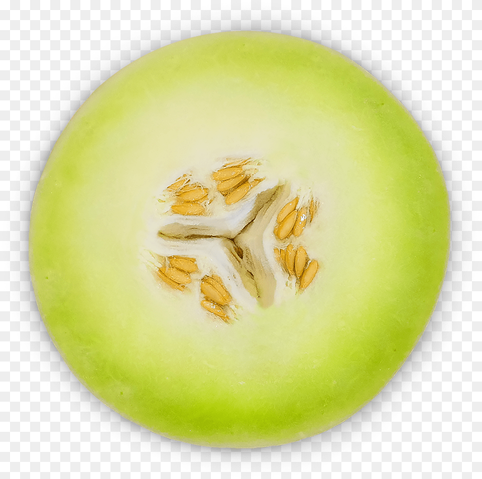 Sol Melons Cantaloupe Free Png