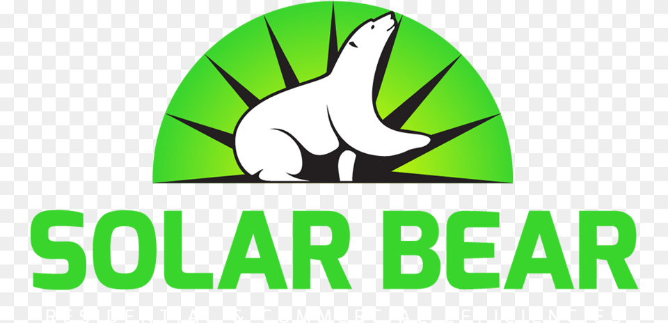 Solar Bear Residential Amp Commercial Efficiencies In Solar Bear Tampa, Animal, Zoo, Green, Logo Png