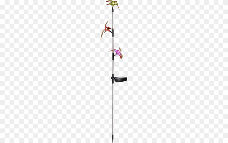 Solar Garden Stick Kolibri Solarna Lampa Led Wys 90 Cm, Sword, Weapon, Flower, Plant Png