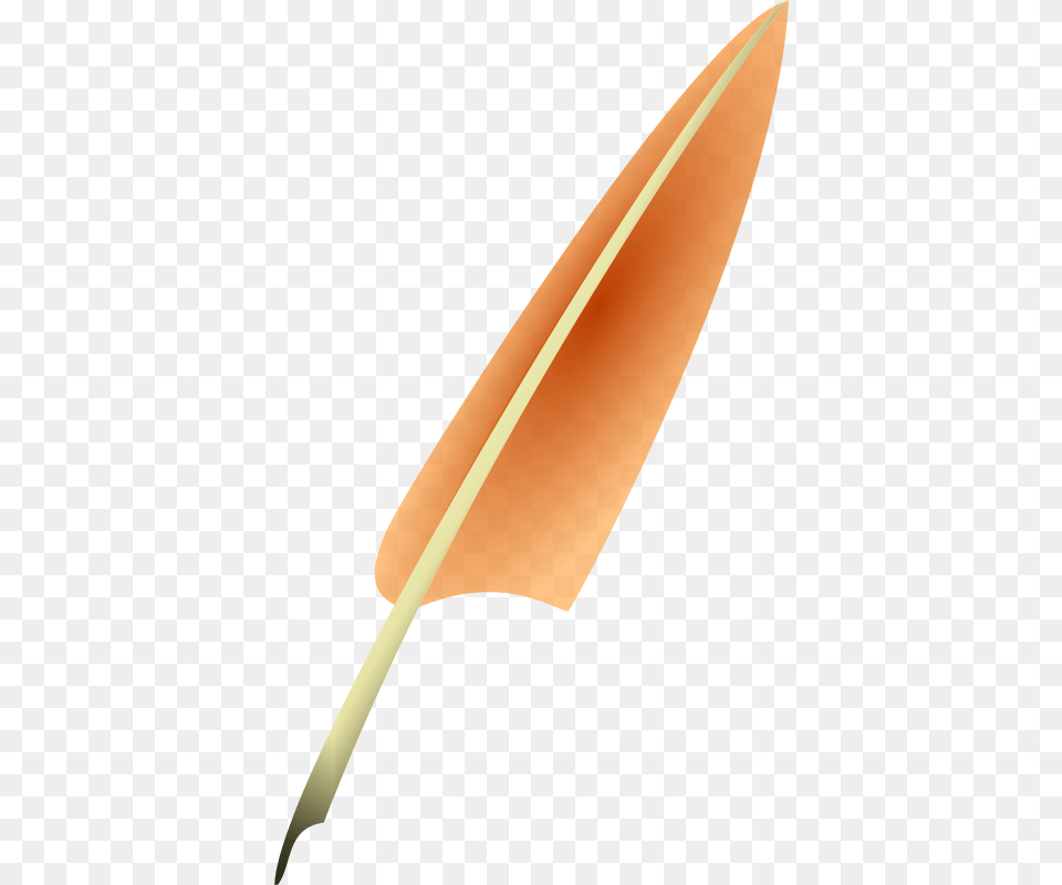 Solar Granulation Used Quill, Leaf, Plant, Weapon, Bottle Free Png