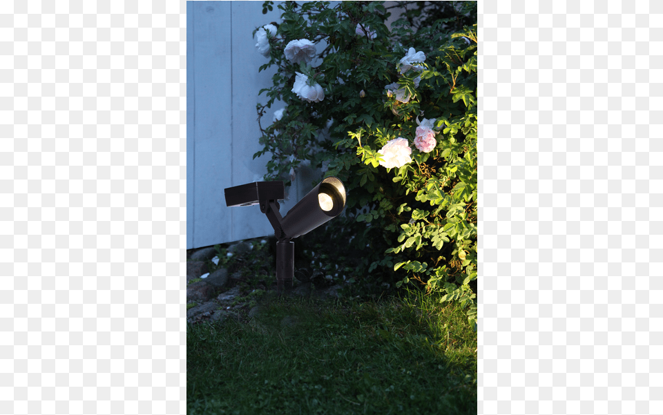 Solar Spotlight 2 P Powerspot Light Emitting Diode, Flower, Lighting, Plant, Rose Png Image