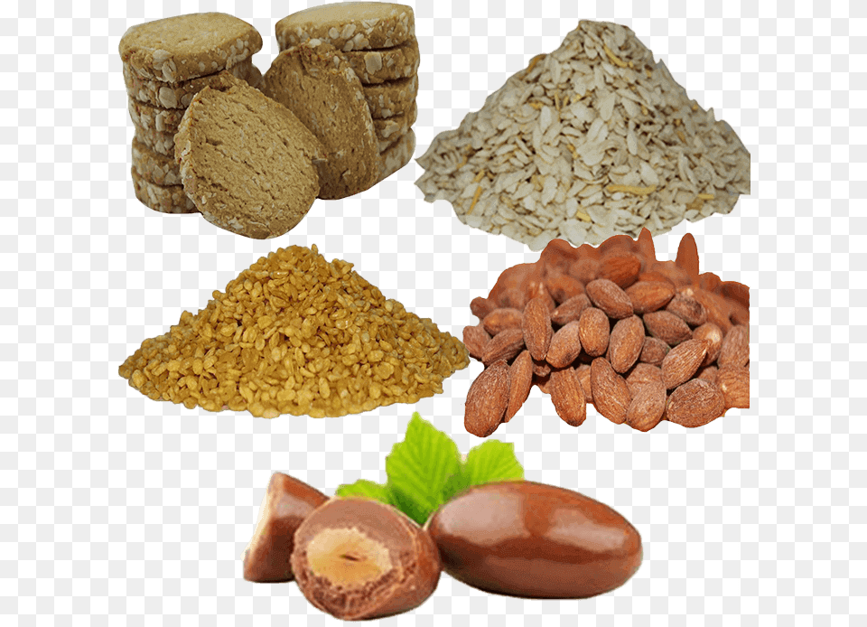Sold Times Acorn, Almond, Food, Grain, Produce Free Png