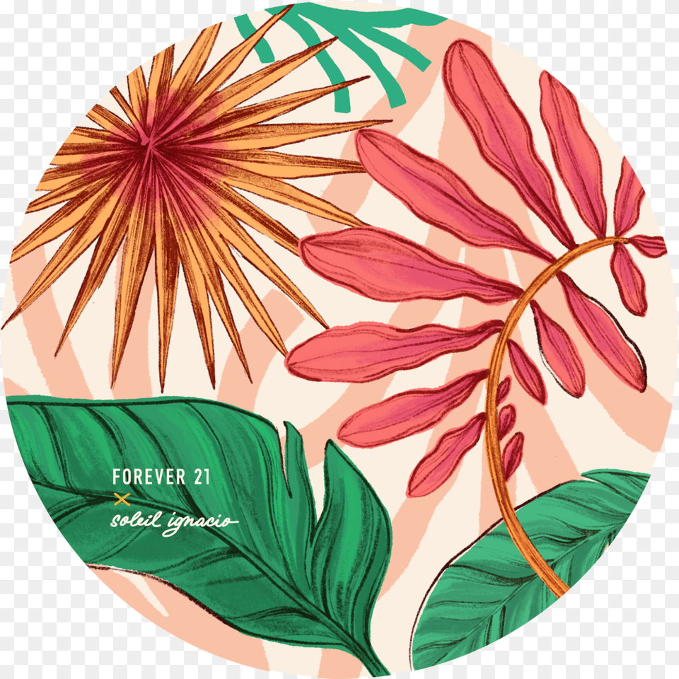 Soleil Ignacio Illustration Forever 21 Art, Dahlia, Floral Design, Flower, Graphics Png Image