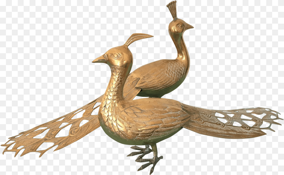 Solid Brass Male And Female Peacock Statues American Black Duck, Animal, Beak, Bird, Waterfowl Free Png