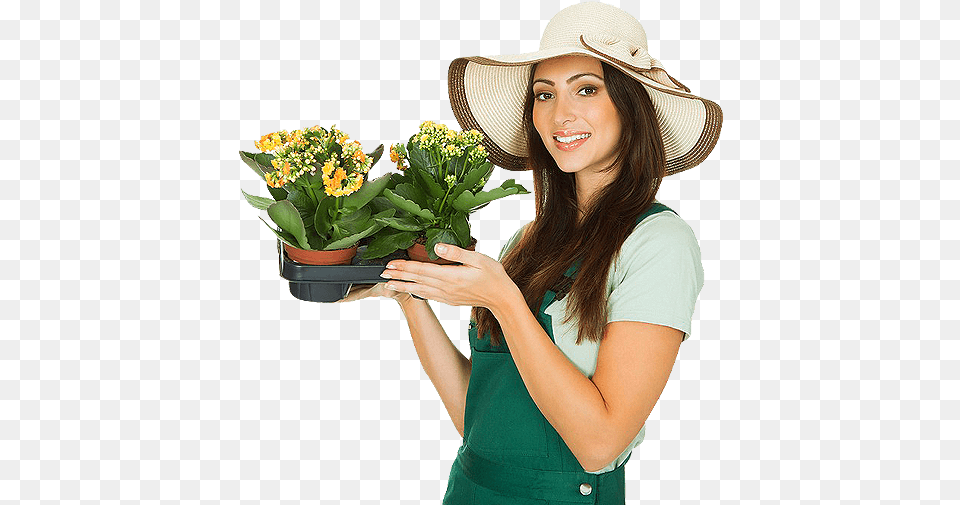 Solo Flowerpot, Adult, Sun Hat, Plant, Person Free Png Download