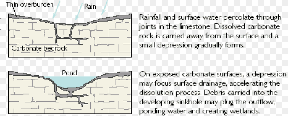 Solution Sinkhole Graphic Types Of Sinkholes, Chart, Plot, Plant, Vegetation Png Image