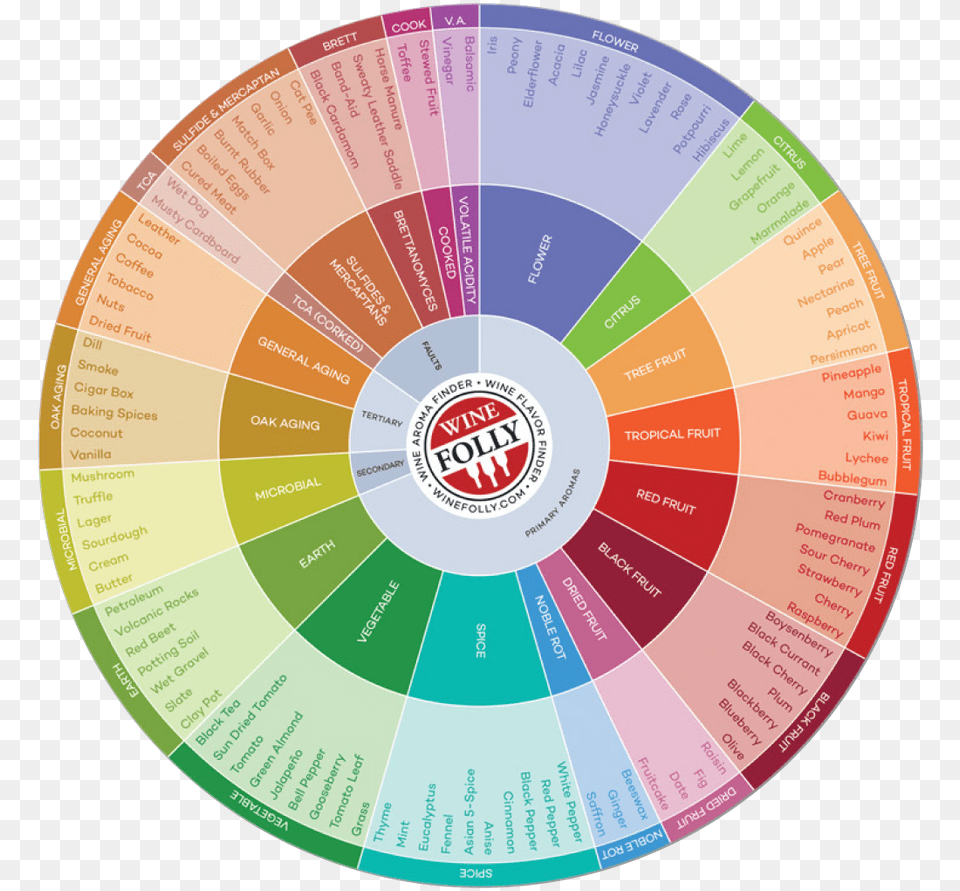 Solved Re Writing A Paragraphe Alongside Circle With V Wine Flavor Chart, Disk Png