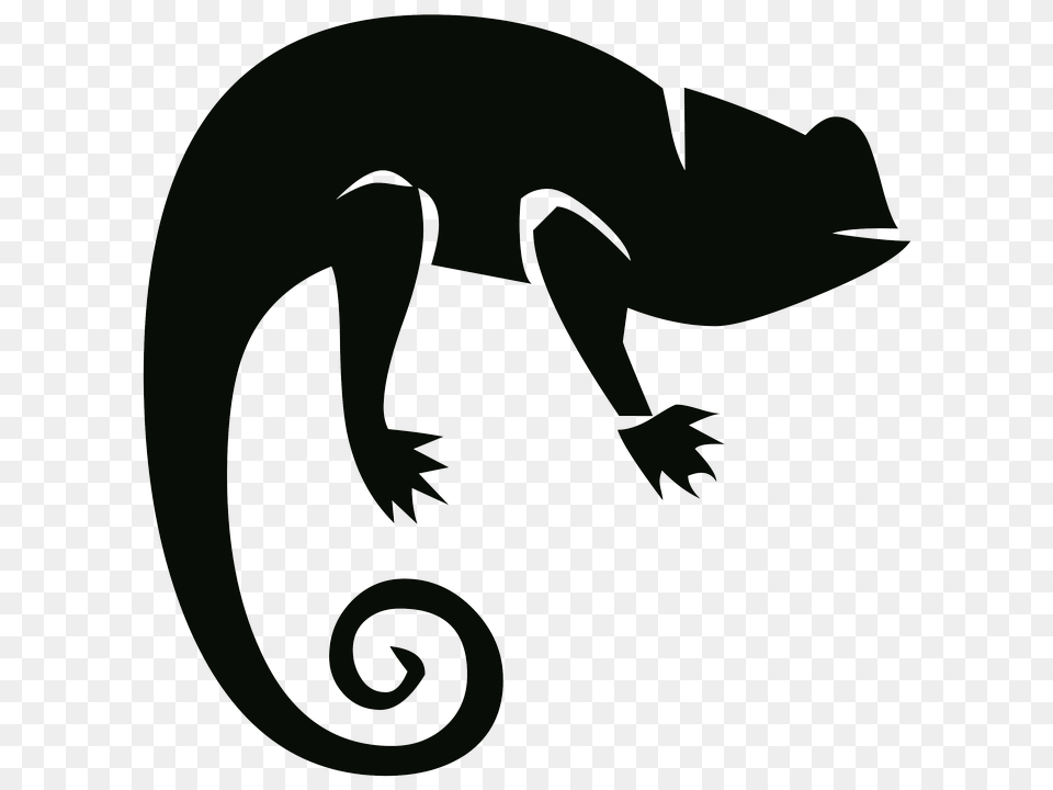 Solverstack Chameleon Gitlab, Animal, Lizard, Reptile, Gecko Png Image
