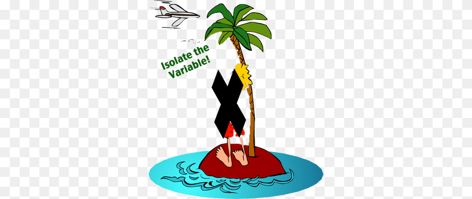 Solving Equations, Palm Tree, Tree, Plant, Aircraft Free Transparent Png