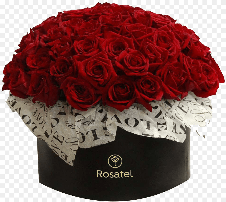 Sombrerera Negra Love Con 50 Rosas Rojas Lovely, Flower, Flower Arrangement, Flower Bouquet, Plant Free Png