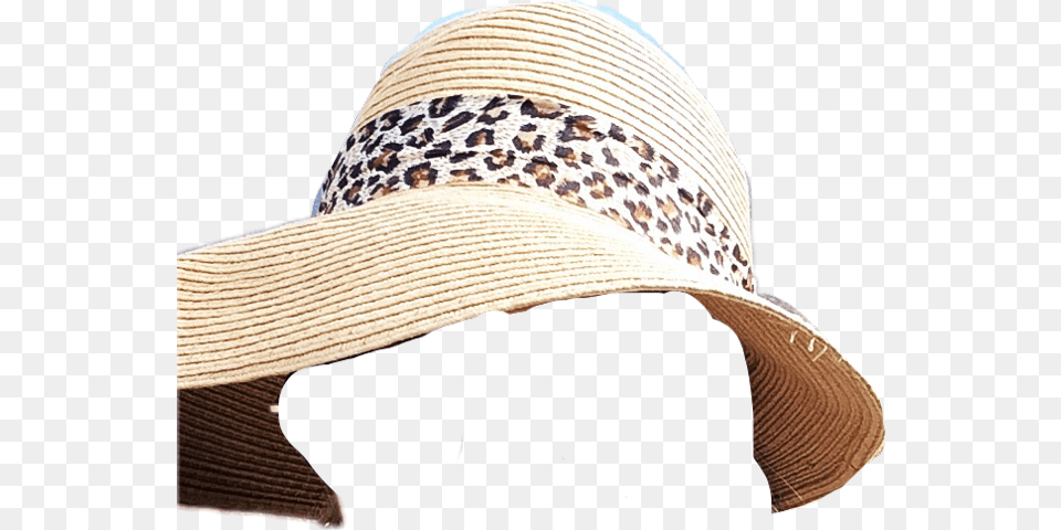 Sombreros Mexicanos Download Fedora, Clothing, Hat, Sun Hat Free Transparent Png