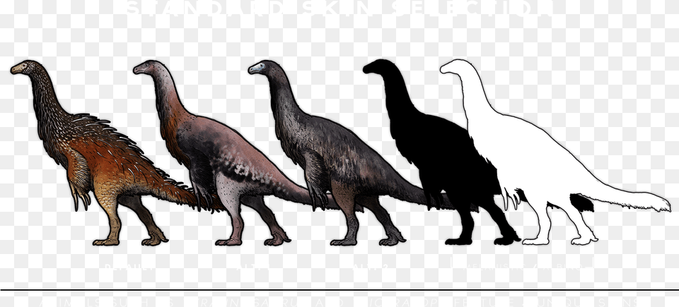 Some Animals Such As Triceratops And Tyrannosaurus Skin, Animal, Dinosaur, Reptile, Bird Png Image