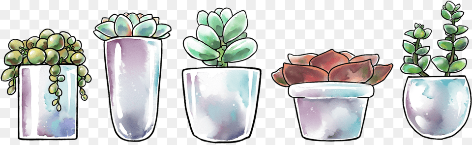 Some Big Succulents For All Your Nature Succulent Illustration, Jar, Plant, Planter, Potted Plant Free Transparent Png