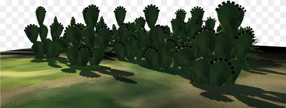 Some Desert Plants Download, Cactus, Plant Png Image