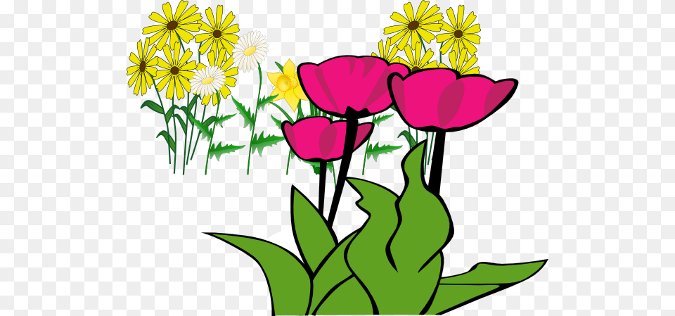 Some Flowers Clip Art, Daisy, Flower, Plant, Petal Free Png