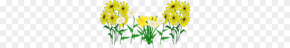Some Flowers Clip Art, Daisy, Flower, Plant, Daffodil Free Png Download