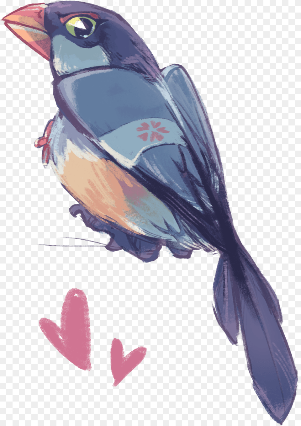 Some Hatoful Bird Doodles I Finally Actually Bought Eastern Bluebird, Animal, Finch, Jay, Blackbird Free Png