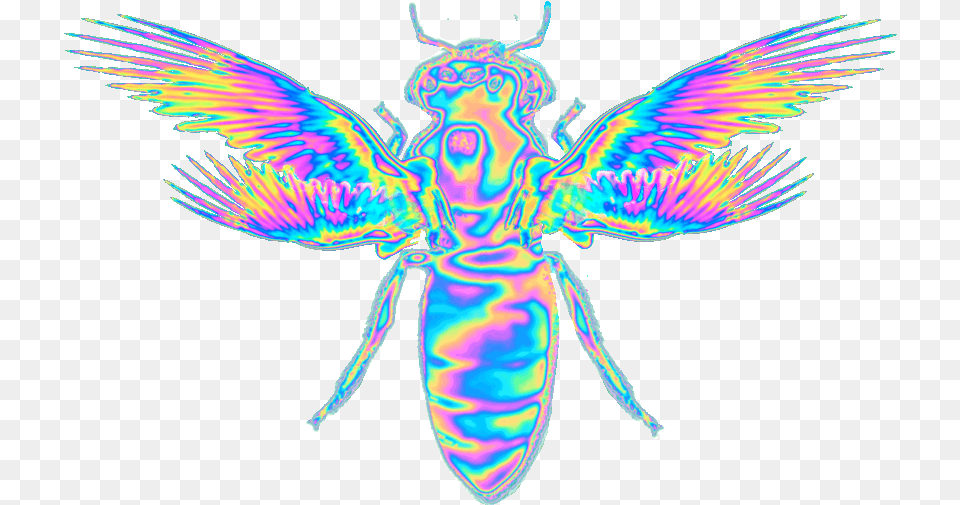 Some Holographic Gifs Ive Been Playing With Emojis Imagenes Tumblr, Animal, Bee, Insect, Invertebrate Free Transparent Png