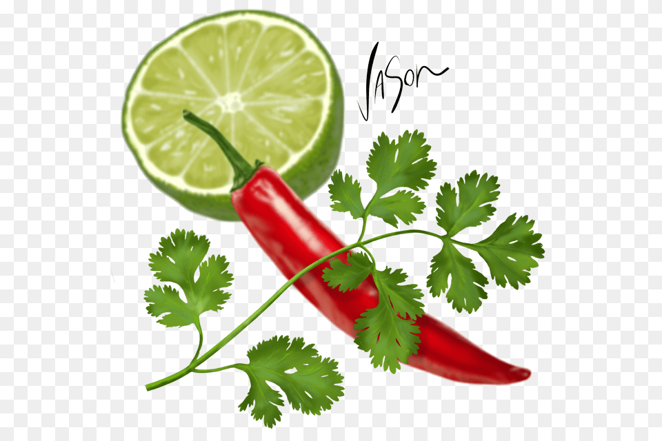 Sometimes Referred To As Chinese Parsley Or Cilantro, Citrus Fruit, Food, Fruit, Lime Free Png Download