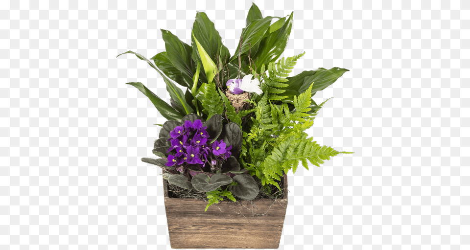 Song Bird Planter 36 Songbirds, Flower, Flower Arrangement, Flower Bouquet, Plant Free Transparent Png