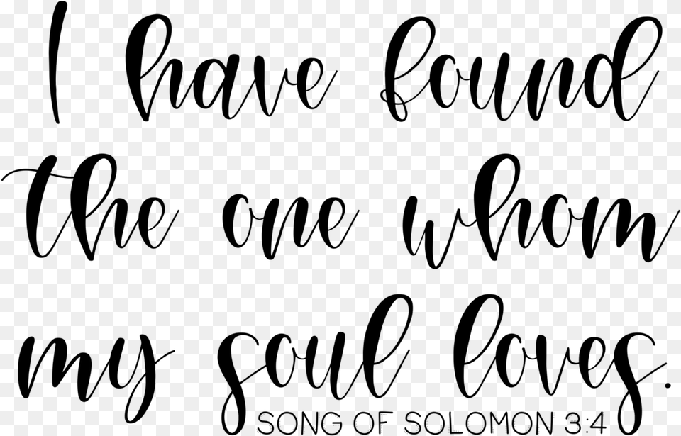Song Of Solomon Have Found Whom My Soul Lovws, Gray Png