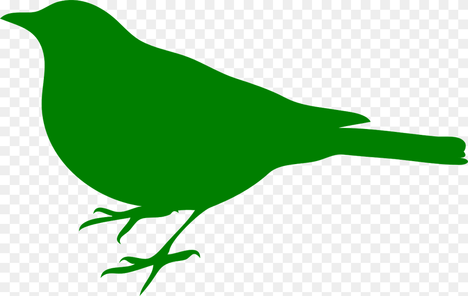 Songbird Clipart Green Bird Bird Silhouette Clip Art, Animal, Finch, Fish, Sea Life Free Transparent Png