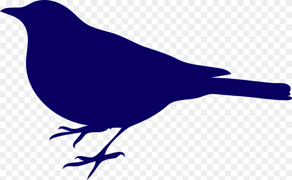 Songbird Clipart Pajaros Blue Bird Silhouette, Animal, Jay, Person, Canary Free Png