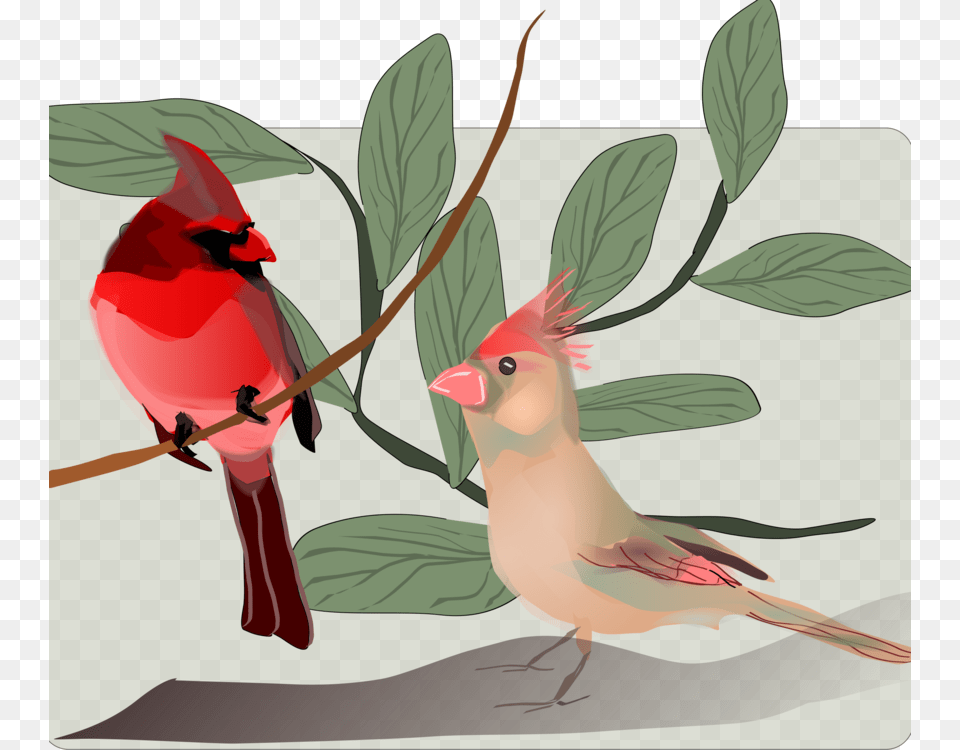 Songbird Northern Cardinal Hummingbird, Animal, Bird Free Png
