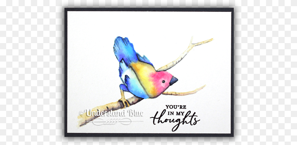 Songbird Watercolor By Understand Blue Budgie, Animal, Bird, Beak Free Transparent Png